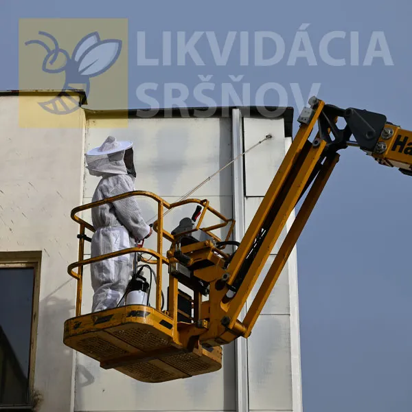 Potrebujete odstrániť sršnie hniezdo, celé kolónie sršňov alebo zlikvidovať iný škodlivý hmyz? Ste na správnom mieste. Likvidáciu sršňov realizujeme v okresoch Banská Bystrica, Zvolen, Žiar nad Hronom, Krupina, Detva, Lučenec, Ružomberok, Martin, Brezno, Banská Štiavnica, Liptovský Mikuláš. Sršnie hniezda po zásahu, likvidujeme celé kolónie ôs ekologickými insekticídmi. Odstránenie osieho hniezda v podkroví domu Liptovský Mikuláš a okolie. Práce Likvidácia sršňov Liptovský Mikuláš, práca pred odstránením hniezda lm